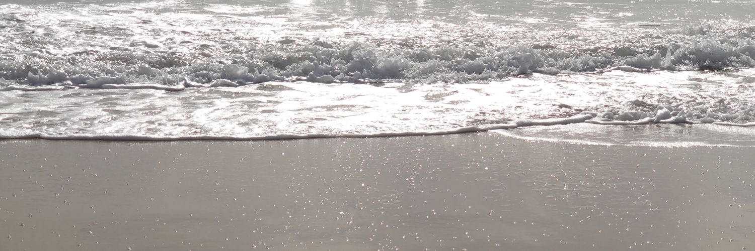 Fernando Antunes banner