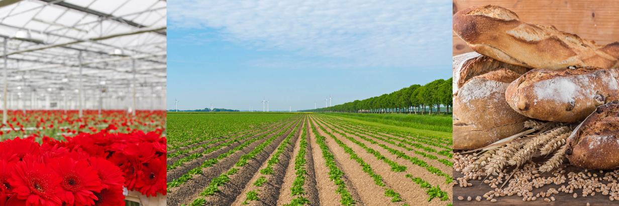 AgriFoodMatchNL's profile banner image