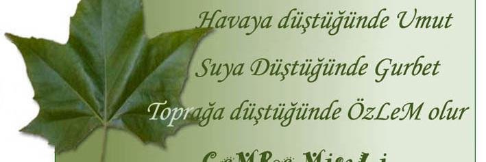 H. ibrahim Horoz banner