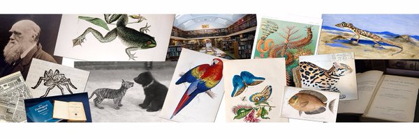 ZSLLibrary Profile Banner