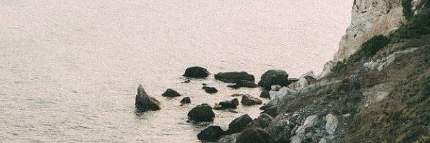 taaurus's profile banner image
