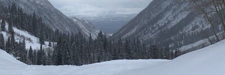 HarrisAndreww's profile banner image