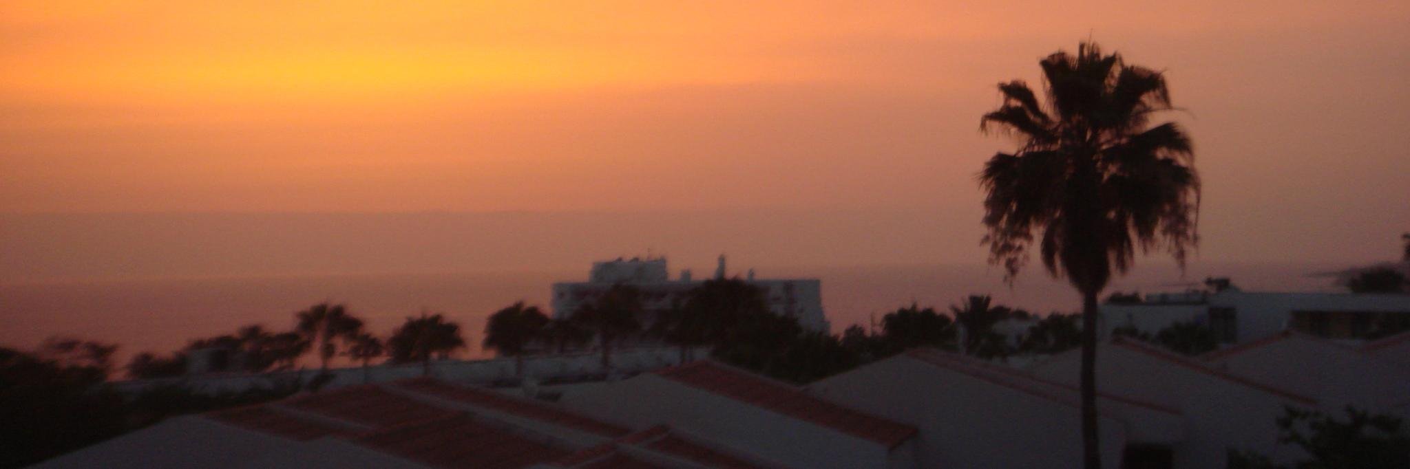 Tash Carpenter banner