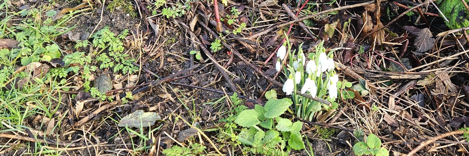 CSP Parish Council banner