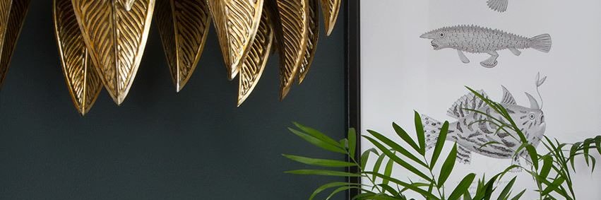 DappledInterior's profile banner image