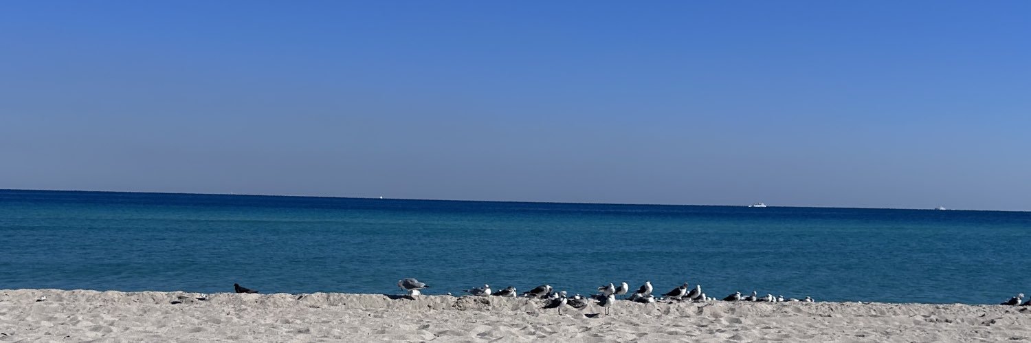principcaspian's profile banner image