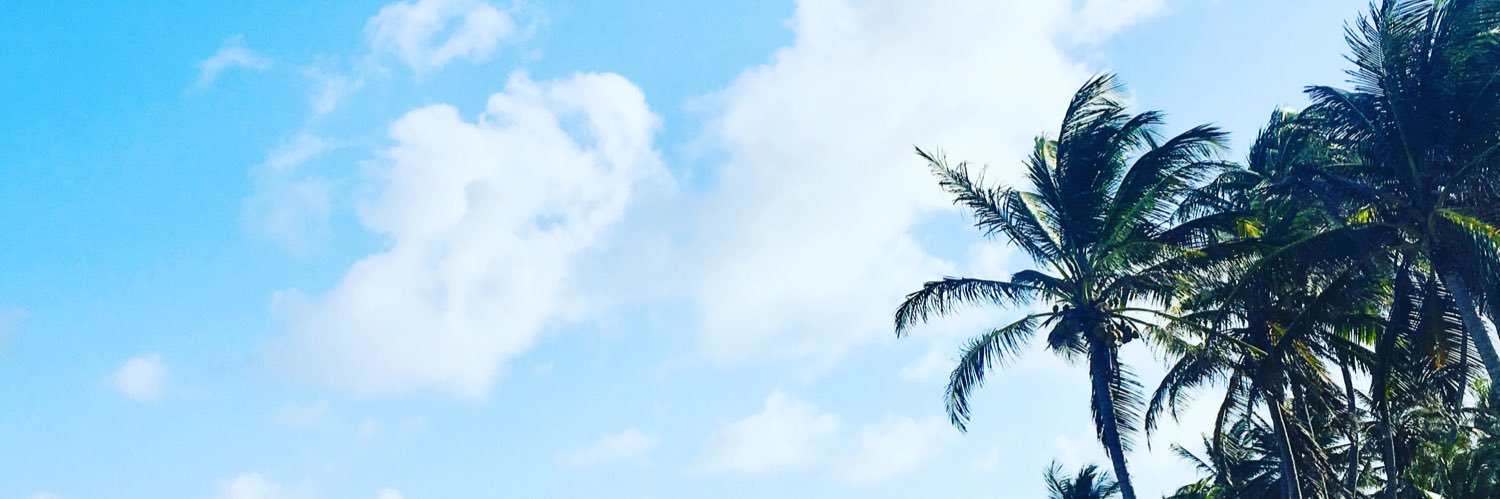 sebrodri's profile banner image