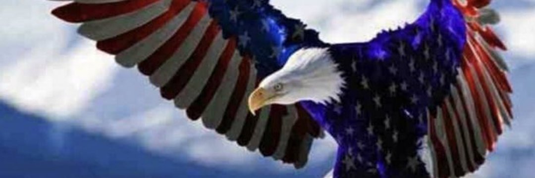 Ms. Chitterbug banner