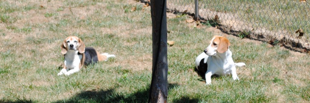 SpudsMck's profile banner image