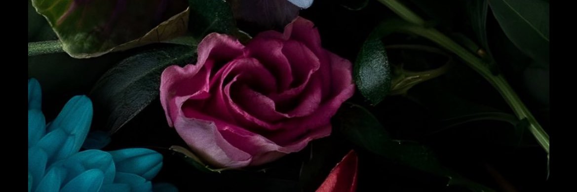 Shaarzya's profile banner image