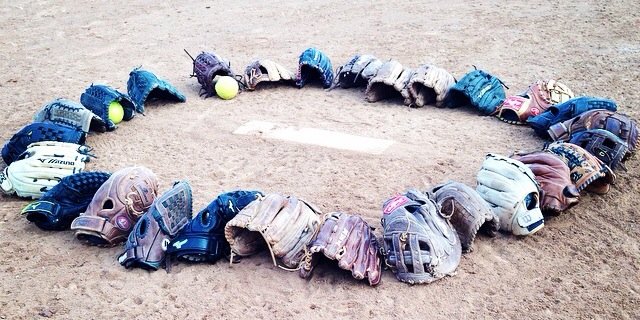 Adrian Softball banner