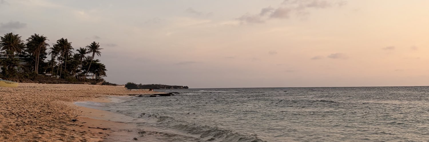 dumpgibson's profile banner image