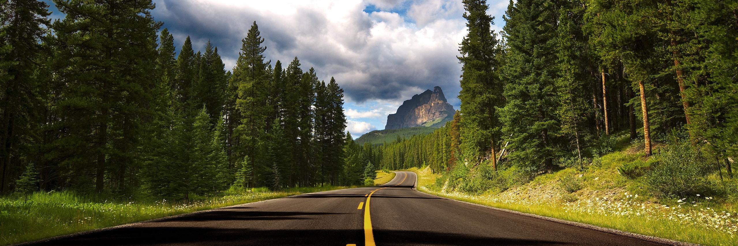 Albert F. Rey banner