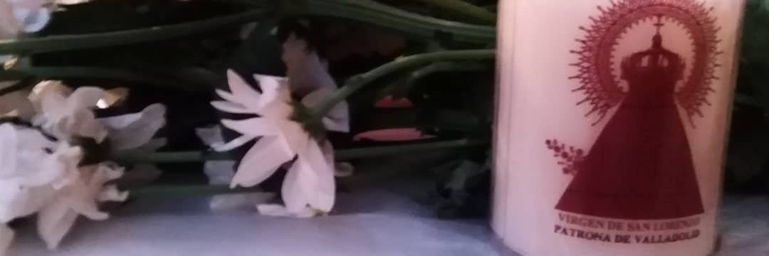 Monjdz's profile banner image