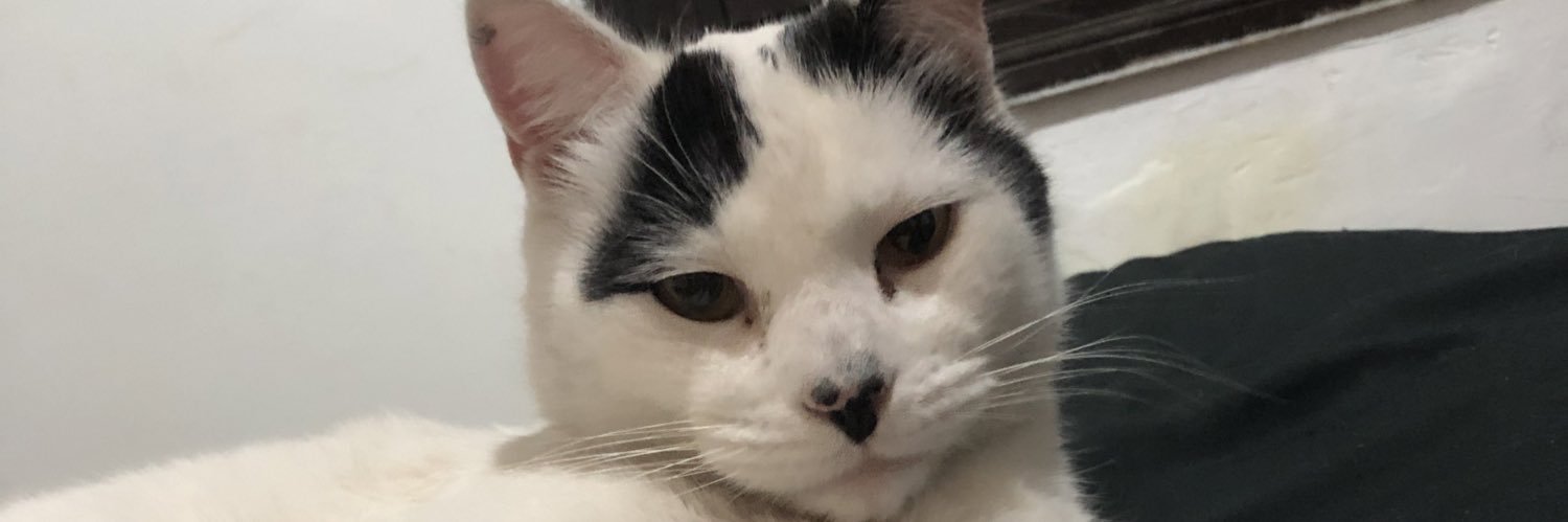 brenifran2's profile banner image