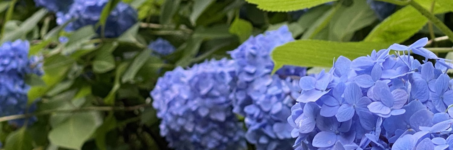Reaquriuw's profile banner image