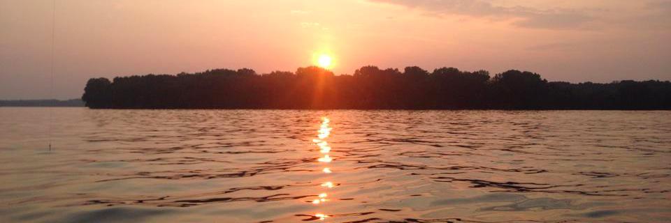 Stephanie Larson banner