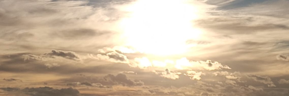 borsching's profile banner image