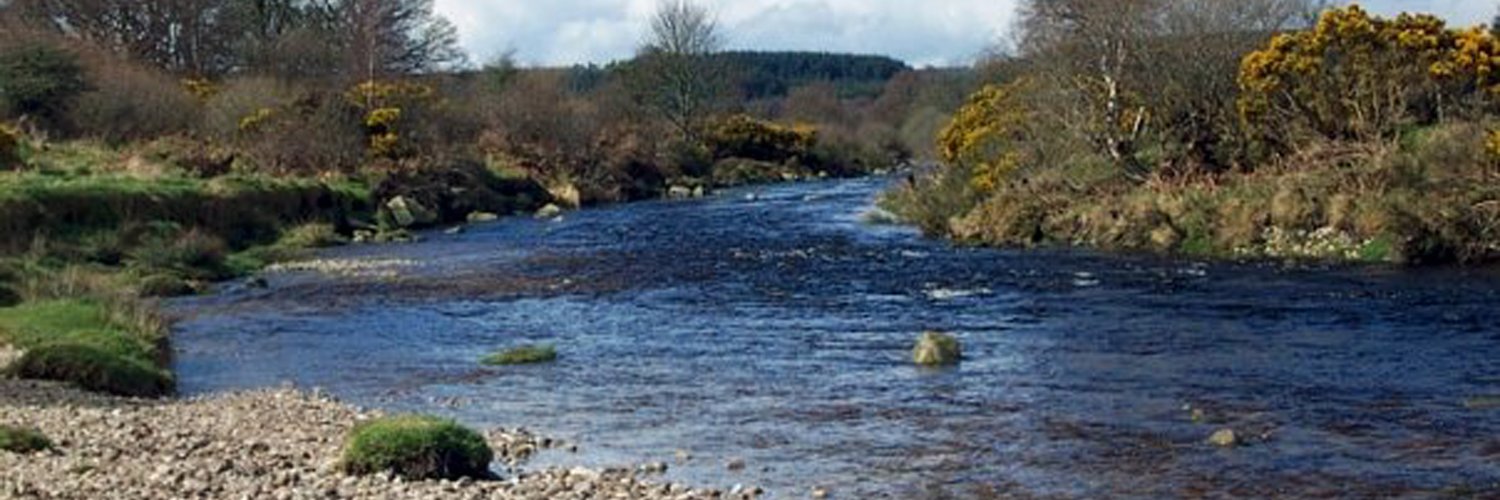 Sharon Devine banner