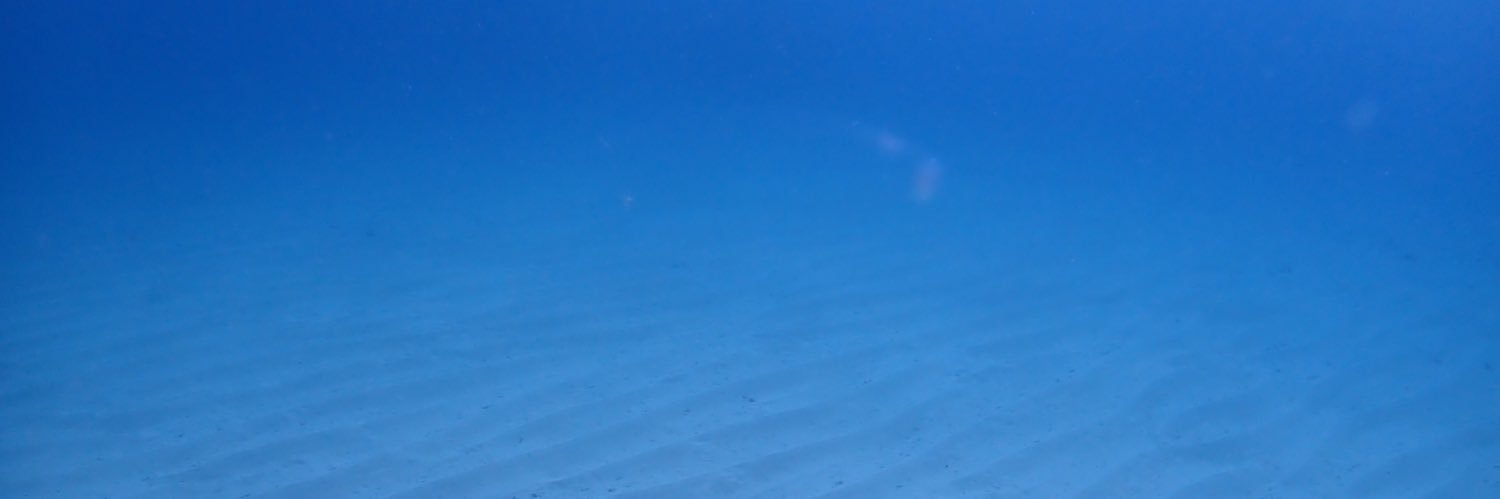 sea_tyang's profile banner image