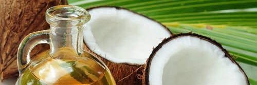 Tøpñøtçh banner