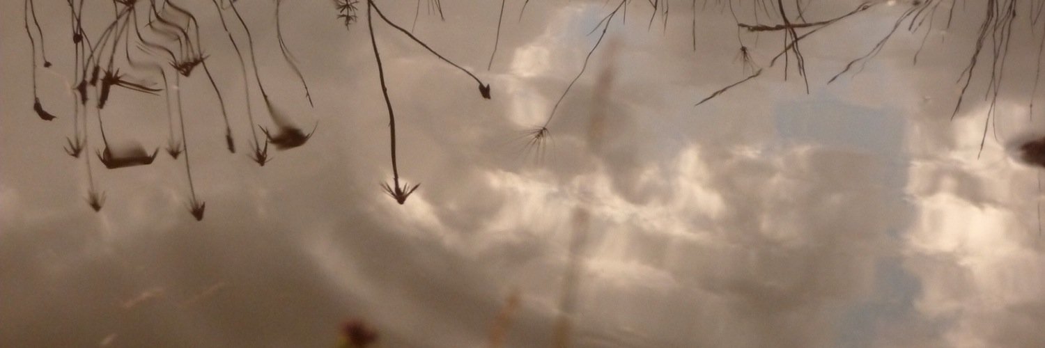 Ultima_Llamada_'s profile banner image