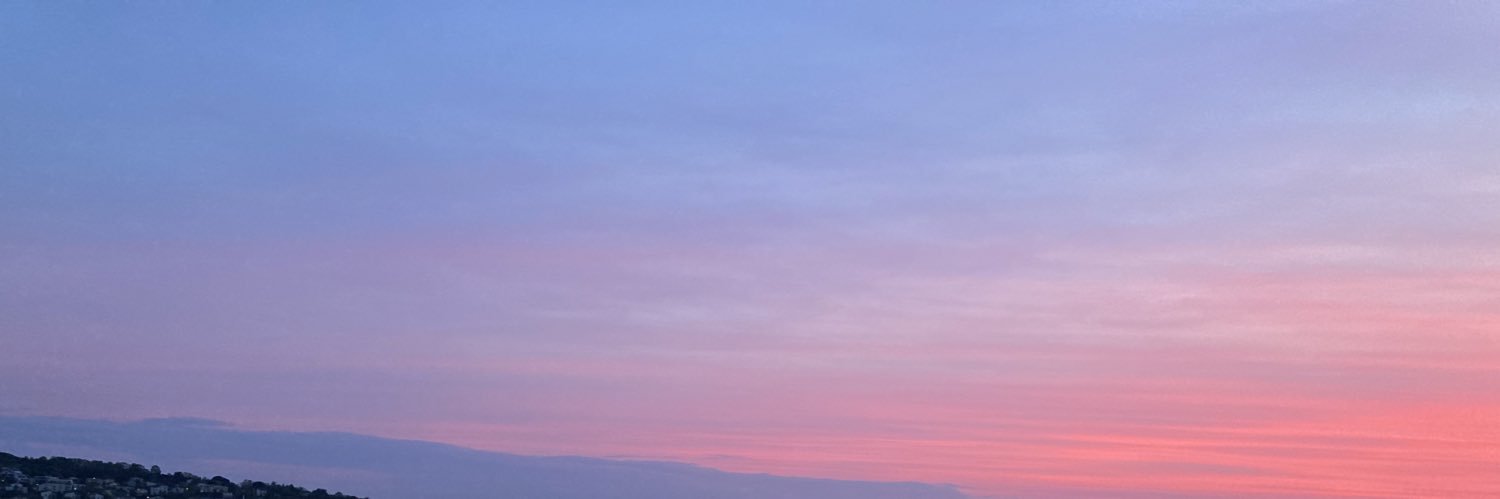 sophissonsec's profile banner image