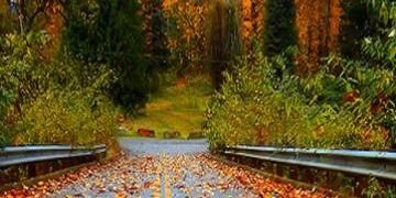 732b77ebf0ea42e's profile banner image