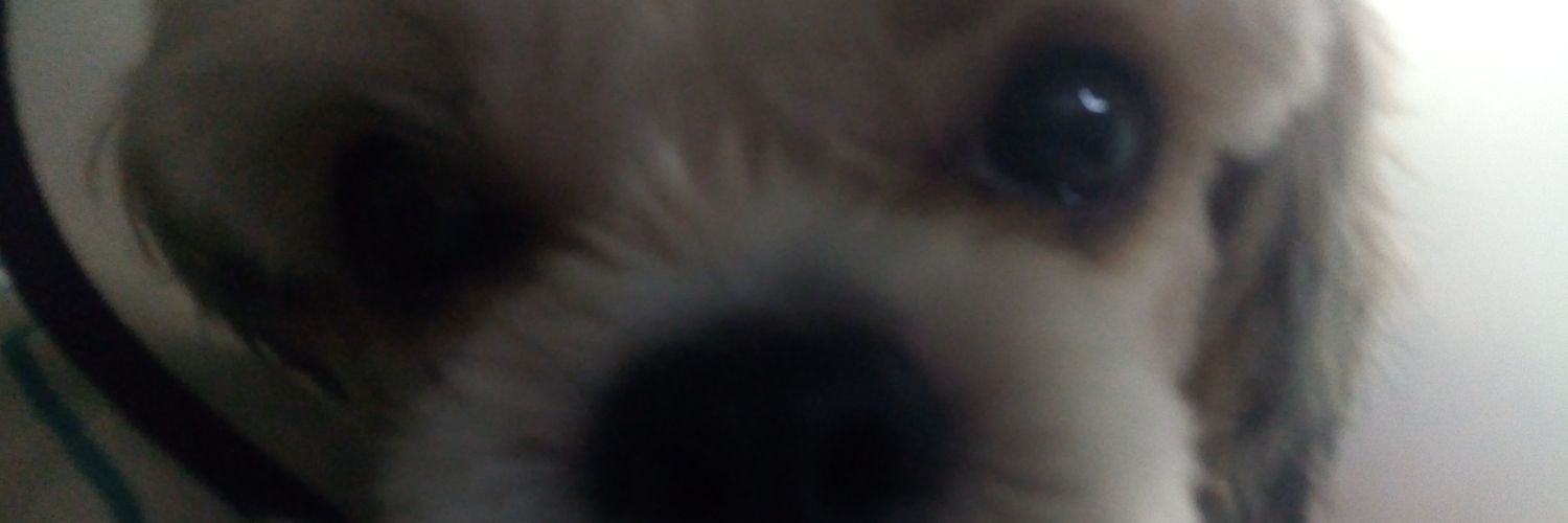 wengwengx's profile banner image