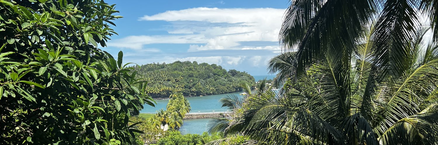 Jean-Marc Pansa banner