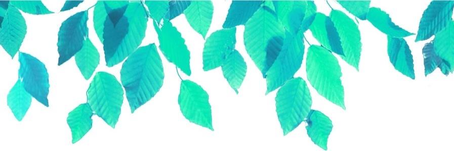 DawnCrossHR's profile banner image