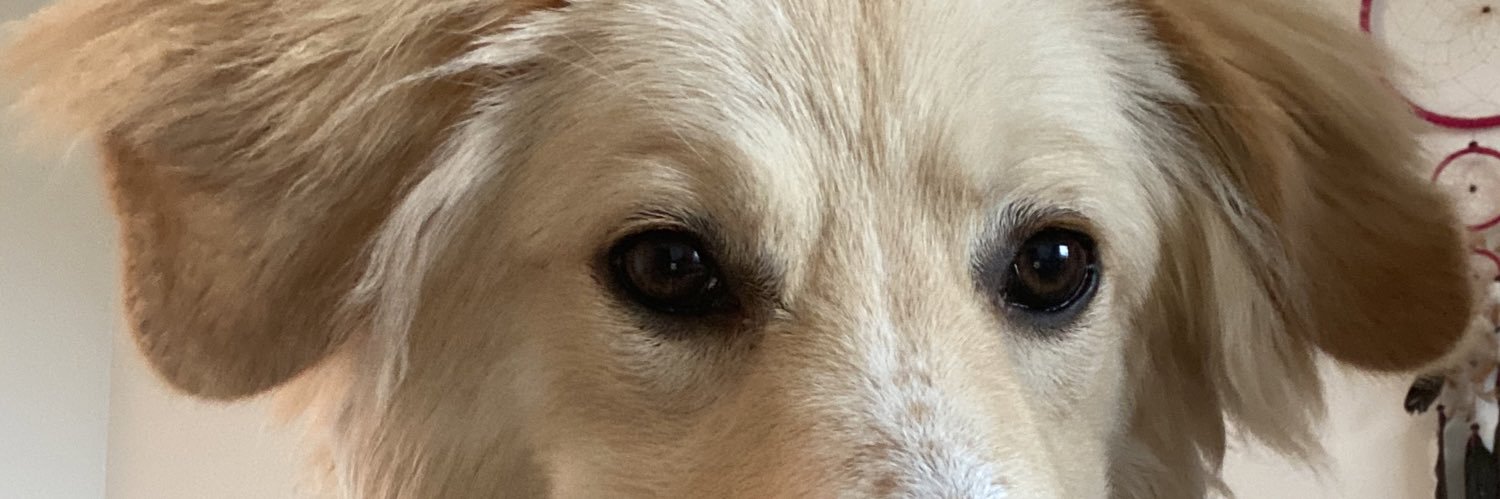 sydnilinn's profile banner image
