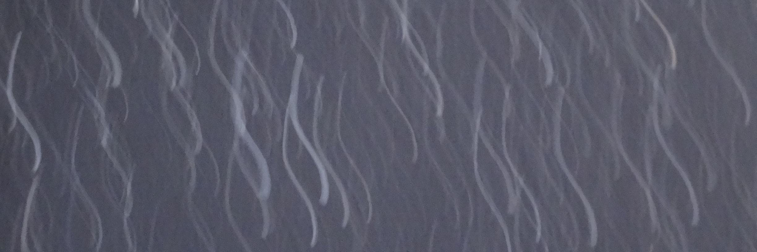 __e7e__'s profile banner image