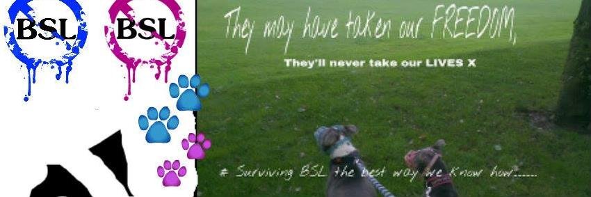 K9_Crusaders's profile banner image