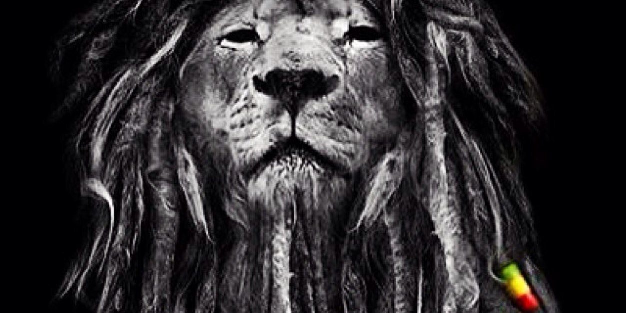 aounperla's profile banner image