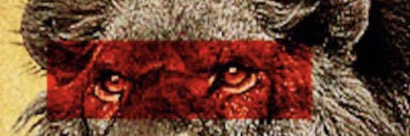 Keilabrasil_'s profile banner image