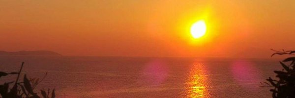 dorisdayiwish Profile Banner