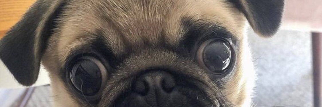 chachachanels's profile banner image