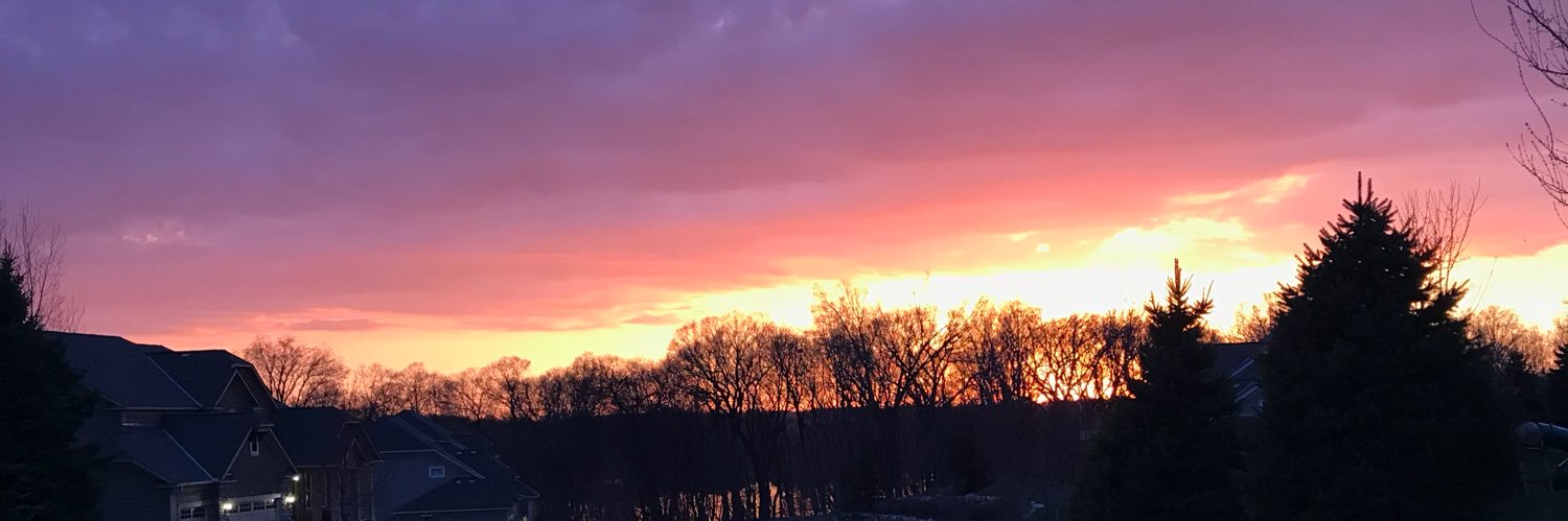clare_gans's profile banner image