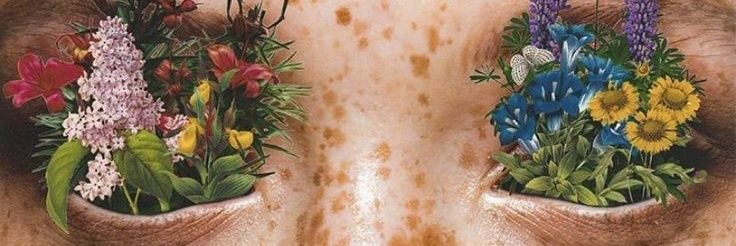 Lu_Robsten's profile banner image