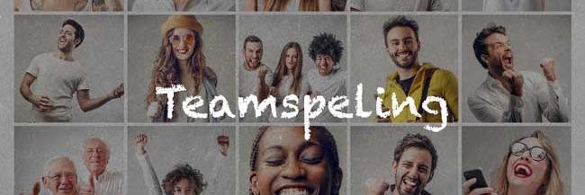 Teamspeling banner