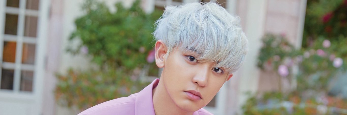 08270218Pi's profile banner image