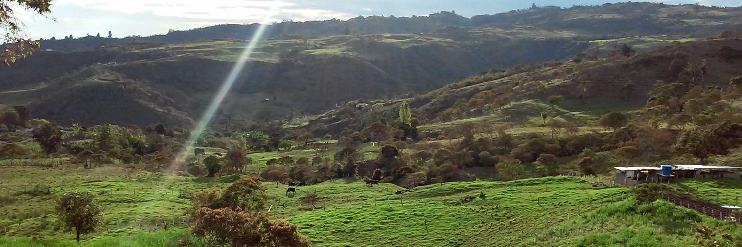 Oscar José Peimbert banner