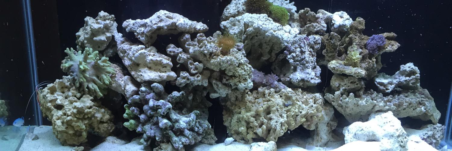 Jarrod Schulz banner