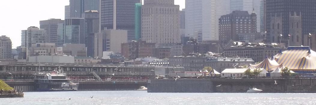 Julie Groleau banner