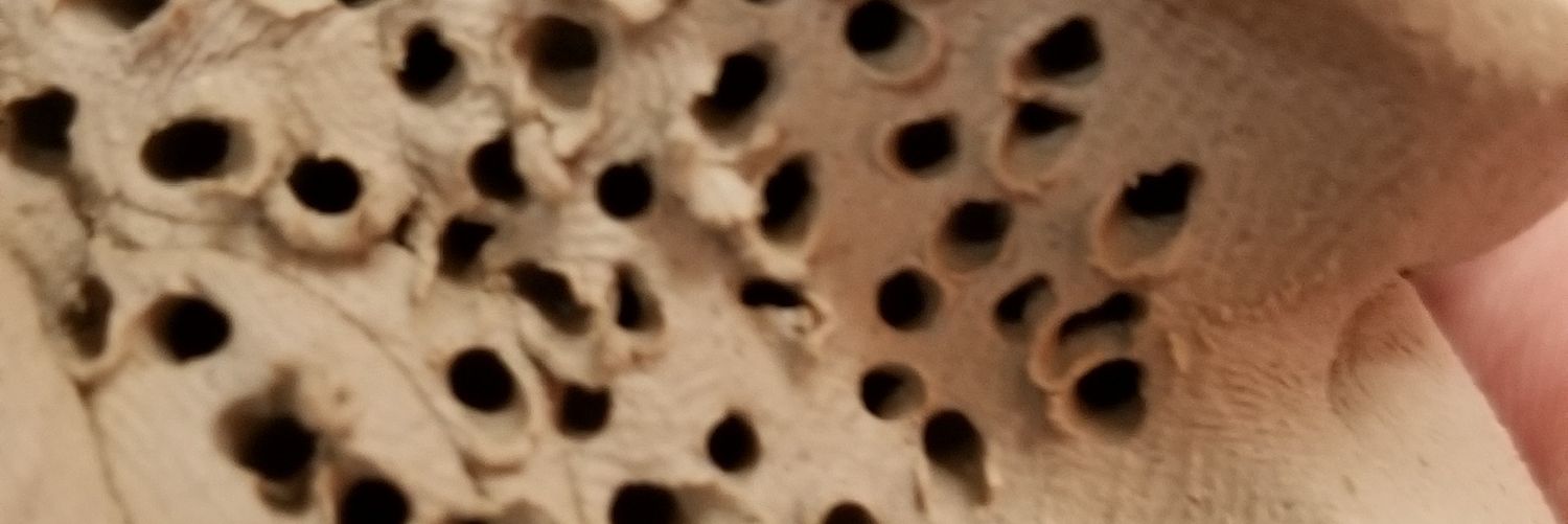 mistermudum's profile banner image