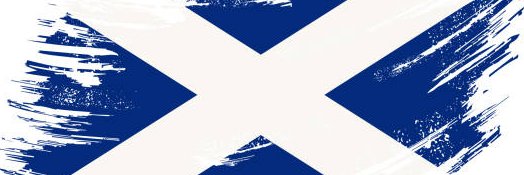 ValeofLevenSNP's profile banner image