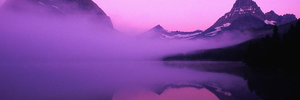 Irene Costa 🥁🌊🐦🌻 banner