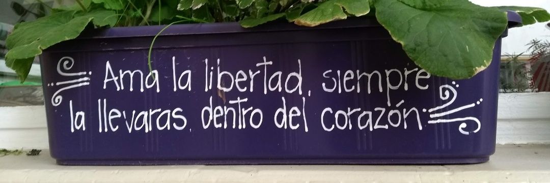 serranojeann's profile banner image