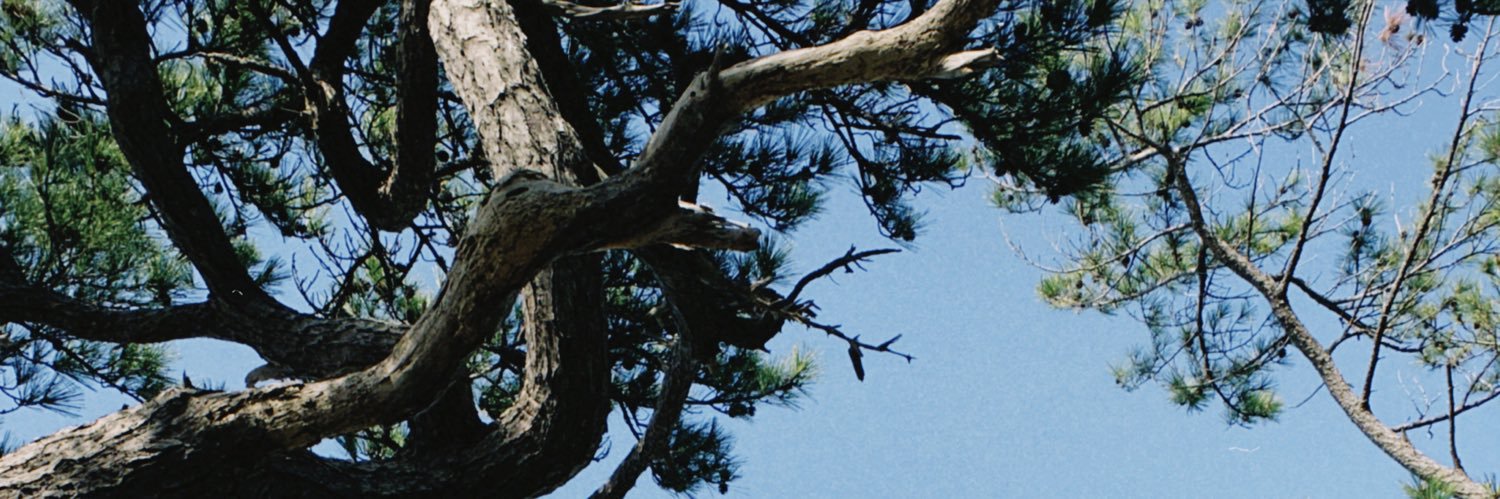 rickmatan's profile banner image